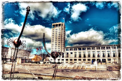 Marc Photo, Photographe à Grand-Camp