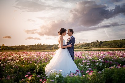 Marc Legros Photographe Mariage - événements, Photographe à Montreuil-Juigné