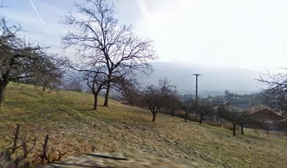 Millisecondes, Photographe à Mercury