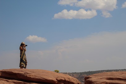 ATELIER CLELIA ALRIC, Photographe à Niort