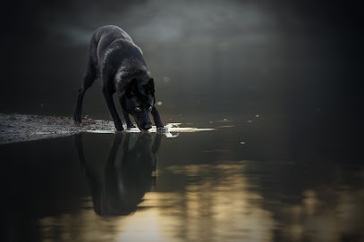 Julien Ferradou - Photographie, Photographe à Villenave-d'Ornon