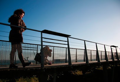 Training Photo À Brest Et En Bretagne, Photographe à Loperhet