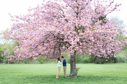 Fred Sanzey Photographe, Photographe au Plessis-Robinson