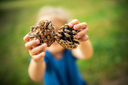 Olivier Lhemann - Photographie et prise de vue drone - Particuliers et professionnels, Photographe à Plouaret