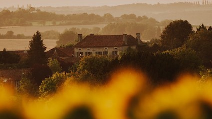 JAM Weddings France, Développement de Photos à Saint-Abit