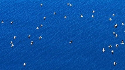 Hedelin Frédéric, Photographe à Laroque-des-Albères