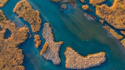 DRONE SESSIONS, Photographe à Mutzig