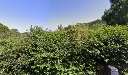 Chalopin Rachel, Photographe à Mariol