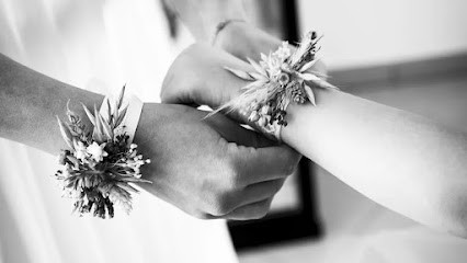 Salima Oulad Photographie, Photographe à Wattrelos