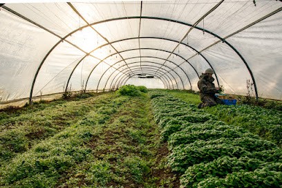 Sabrina Saritepe / Photographe Drôme Ardèche, Photographe à Tournon-sur-Rhône