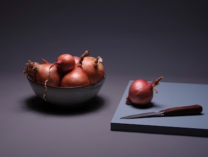 Patrick Merret, Photographe, Photographe à Roscoff