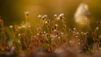 Styl'Art Photo - Photographe Professionnel à Guidel, Photographe à Guidel