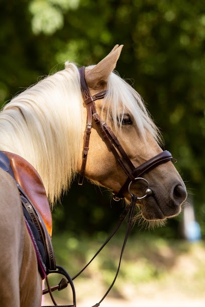 Equicode | Photographe Avignon Et Création Web, Photographe à Villeneuve-lès-Avignon