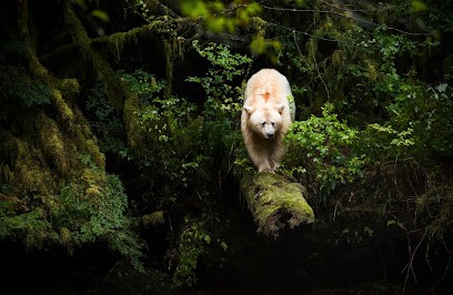 Juppeaux Emmanuel, Photographe au Rouret