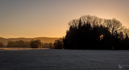 Rémy T. Photographie, Photographe à Varacieux