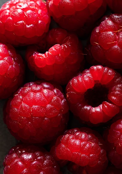 Macaron Framboise Studio - Photographe Culinaire / Vidéaste Culinaire Sur Lyon Et Sa Région, Photographe aux Haies