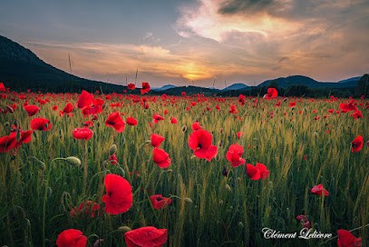Clément Lelièvre Photographie, Photographe à Séranon