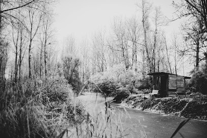 Dominique Borgnet Photographe, Photographe à Plivot