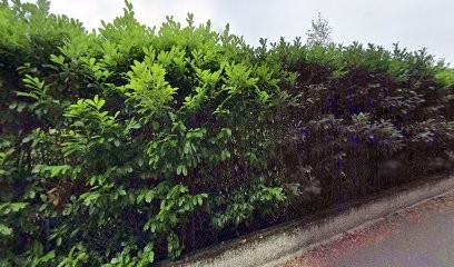 Chimene Folliet Photographe, Photographe à Tresserve