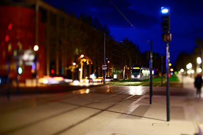 Adrien Bourret Photo, Photographe à Villeneuve-Tolosane