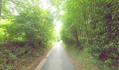 Patrice Le Bris, Photographe à Genneville