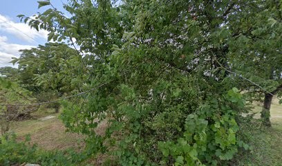 Busser Philippe, Photographe à Montvicq