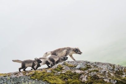 Samy Berkani Photography, Photographe à Cressia