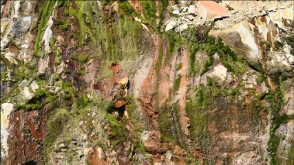 Chloé Besnard Studio, Photographe à Roubaix