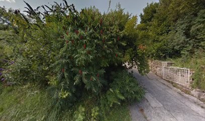 Clarisse Genesseau, Photographe à Sapogne-et-Feuchères