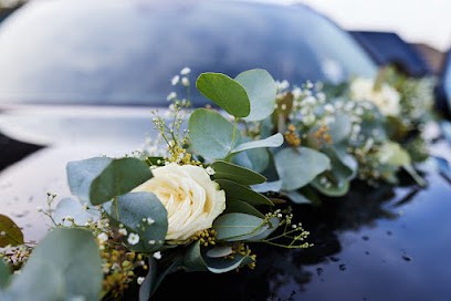 Demophoto, Photographe à Villeneuve-d'Ascq