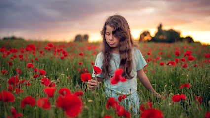 Emotion Pixelisee, Photographe à Teloché