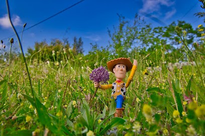 William15photographe, Photographe à Venerque