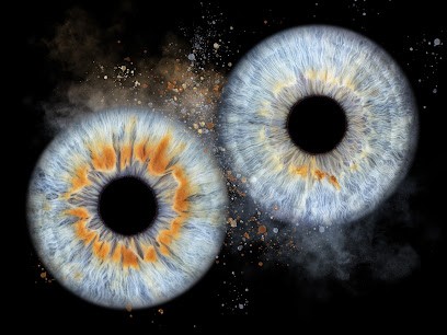 AtOm̐ojO - Photographie D'iris, Développement de Photos à Saint-Vincent-de-Tyrosse