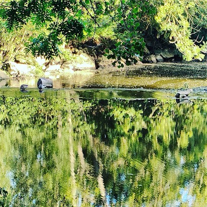 Établissement Priet, Développement de Photos à Segré-en-Anjou Bleu