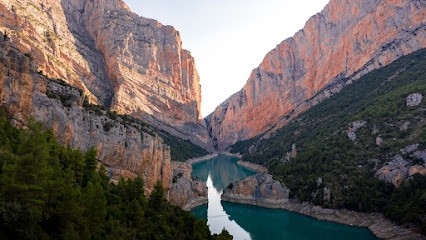 Guillaume Talbot, Photographe à Saint-Denis