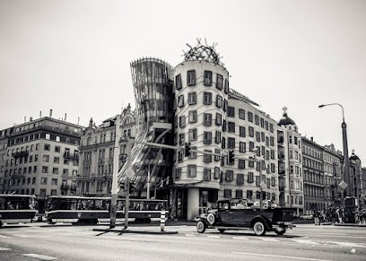 D-Cailloux-photo, Photographe à Bourogne