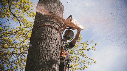 Sam Artigau Photographe, Photographe à Ribes