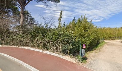 Liryc studios, Photographe aux Arcs