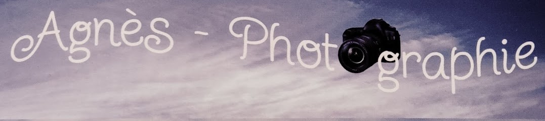 Agnès - Photographie, Photographe à Plumergat