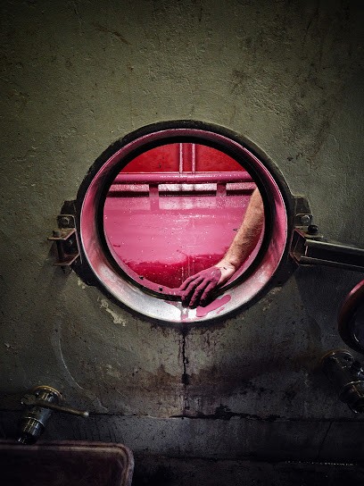 Franck TREMBLAY Photographe, Photographe à Vulaines-sur-Seine