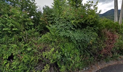 Photographe Haute Savoie, Photographe à Marignier