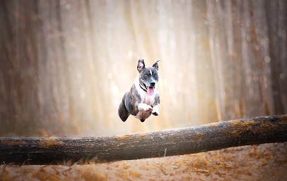 Pascal FONT Photographe (entreprise Individuelle), Développement de Photos à Montireau