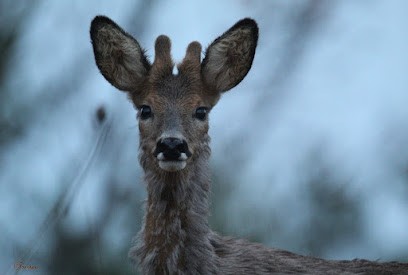 Tristan Naturel, Photographe à Draguignan