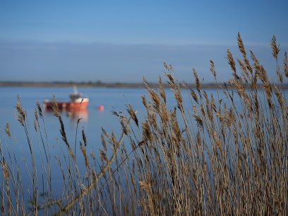Istvan Székany, Développement de Photos à Nantes