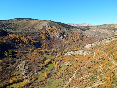 Altitude Drone, Photographe à La Salvetat-Saint-Gilles