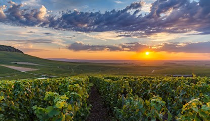 Travaux Photographiques, Développement de Photos à Loisy-en-Brie