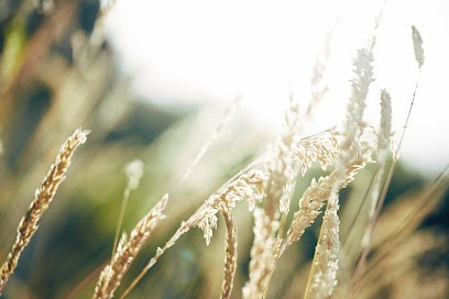 Yann Quéniart - Photographie, Photographe à Saint-Saëns