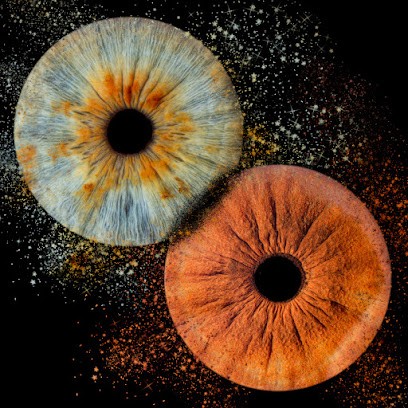 Didier Kapitza Artisan Photographe, Photographe à Hazebrouck