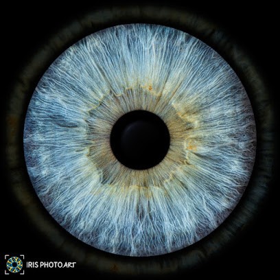 IRISPHOTO.ART Versailles, Développement de Photos à Versailles