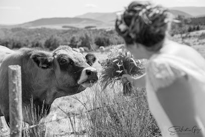Photographie Sébastien Gigé, Photographe à Langogne